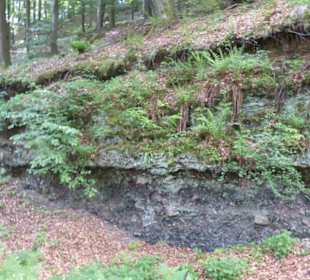 Abwechslungsreicher Weg
