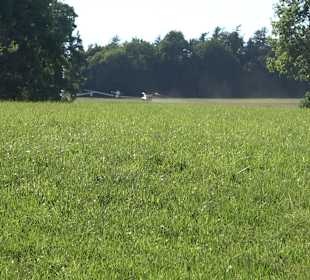 Burgruine Andeck Talheim