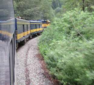 Auf den Weg zu den Gletschern