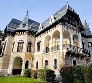 Eugen Villa