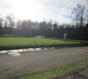 Schlosspark Schwetzingen im Winter