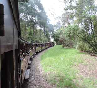 Mit der Puffing Billy Dampfbahn unterwegs