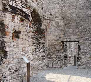 Zamek Wilcza Szczęka - OGRODZIENIEC