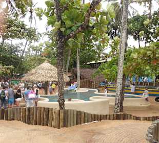 Blick auf Aufzuchtsstation