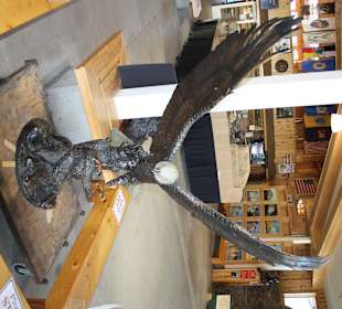 Crazy Horse Memorial