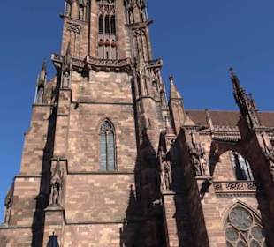 Freiburger Münster