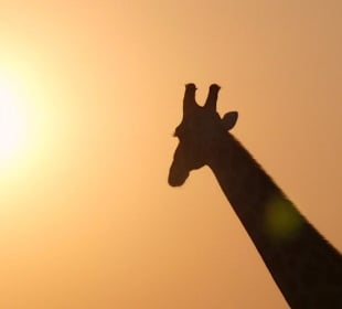 Lower Sabie Sunset Drive