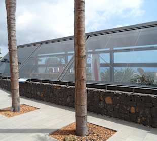 Die Pyramiden von Güimar