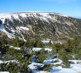 Schneekope/Śnieżka