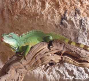 Discovery Park Manavgat