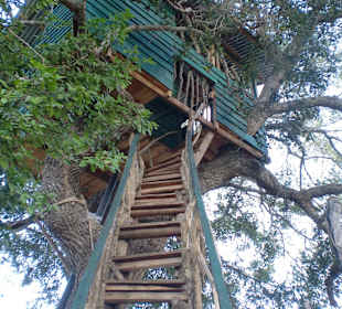 Baumhaus