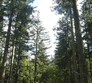 Wanderung am Silberberg