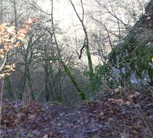 Burg Hofen Grabenstetten