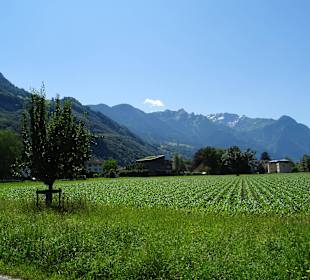 Mit der Citytrain durch Vaduz