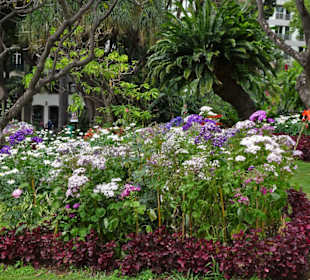 Impressionen aus dem Stadtpark von Funchal
