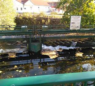 Fischtreppe in der Ilm