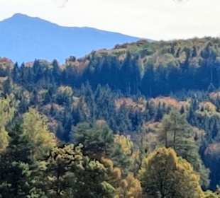 Wandern Uffing am Staffelsee