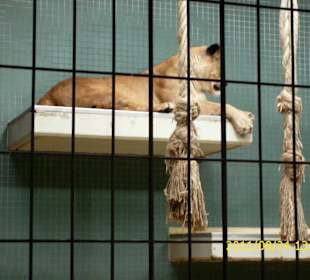 Besuch im Berliner Zoo