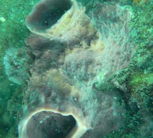 В Сиамском заливе.