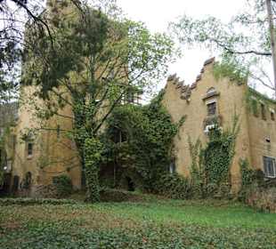 Blick auf die Roseburg