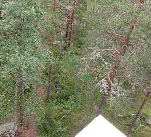 Blick vom Aussichtsturm