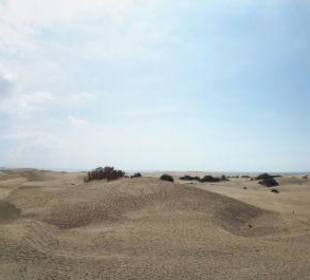 Dunas de Maspalomas
