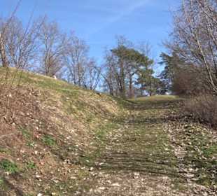 Weinbergturm