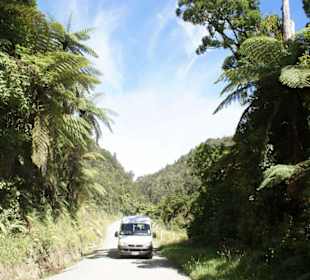Lost World Highway Stratford - Taumarunui