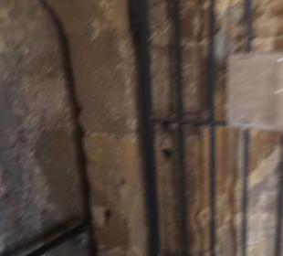 Burgruine Hohenrechberg