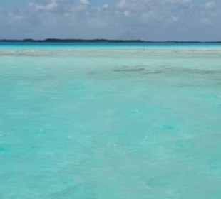 Bacalar