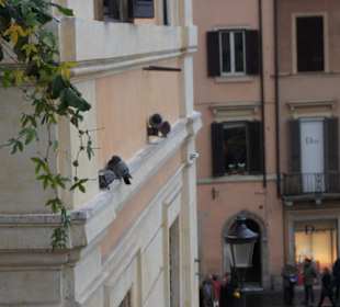 Piazza di Spagna