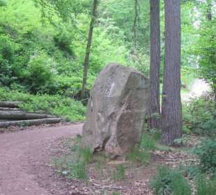 Auf dem Weg zum Hilschweiher