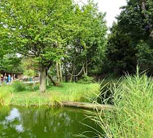 Außengelände der Affen