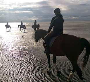 Noch nie so perfekten Strand zum Reiten erlebt
