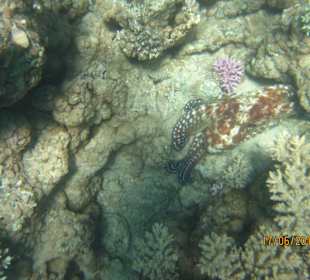 Unterwasser tut sich was!