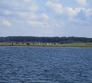 Müritz Schifffahrt