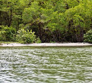 Auf dem Fluss