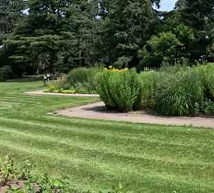 Flora und Botanischer Garten