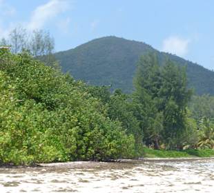 Strand Anse Volbert