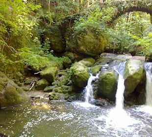 Kleine Luxemburger Schweiz bei Echternach