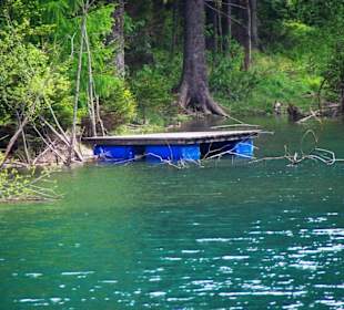 Insel Fischerei Grünsee