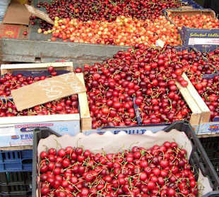 Markt Rhodos