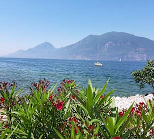 Strandpromenade Brenzone