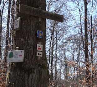 Geschichtlicher Lehrpfad Einsiedel