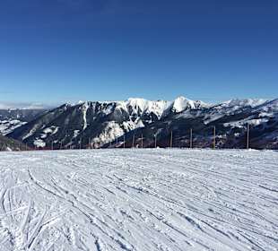 Wandern Donnersbachwald