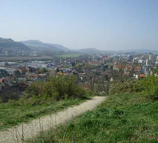 Berounské medvědárium