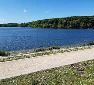 Dieksee