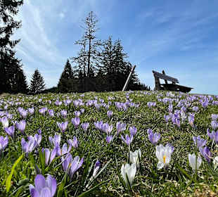 Wandern Oberstaufen