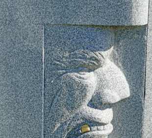 Der Kopf maht einen "schrägen Eindruck"