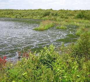 Blick über die Flächen des Goldenstedter Moores
